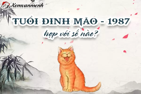 1987-tuoi-dinh-mao-hop-voi-so-nao