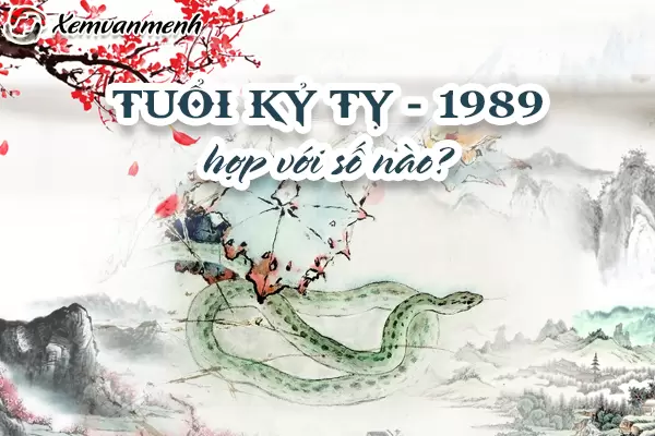 1989-tuoi-ky-ty-hop-voi-so-nao