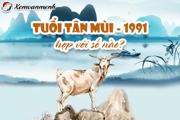 1991-tuoi-tan-mui-hop-voi-so-nao