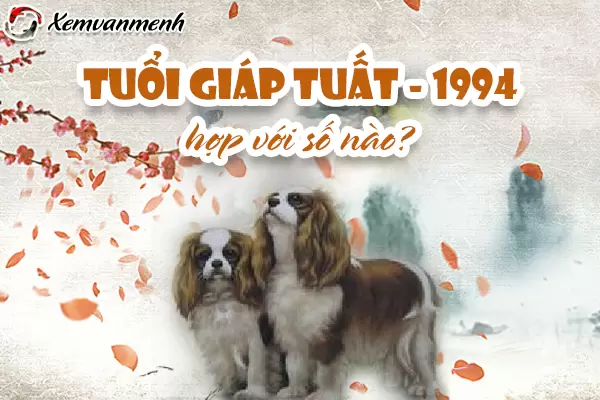 1994-so-hop-tuoi-giap-tuat