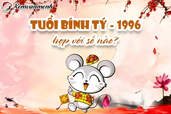 1996-so-hop-tuoi-binh-ty