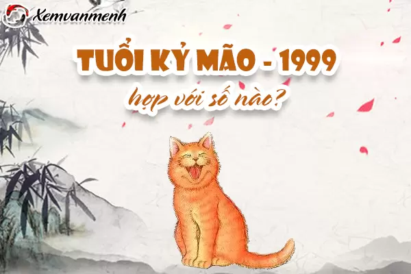 so-hop-tuoi-1999