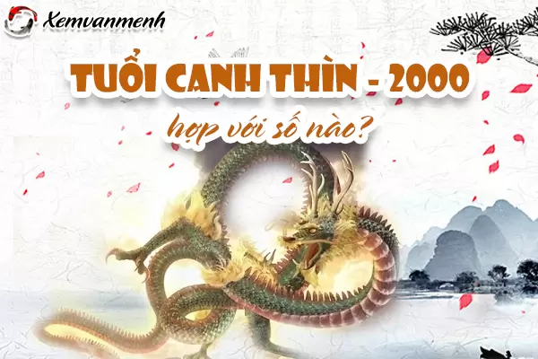 so-hop-tuoi-2000