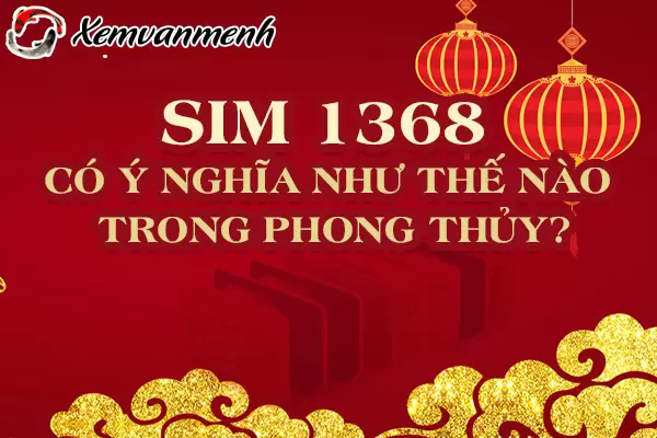 y-nghia-sim-1368