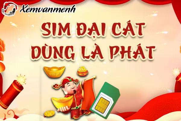 cach-tinh-sim-dai-cat-la-gi