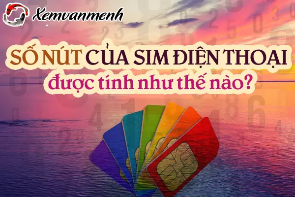 cach-tinh-so-nut-cua-sim