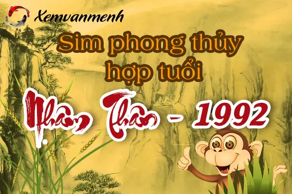 xem-sim-phong-thuy-hop-tuoi-nham-than-1992