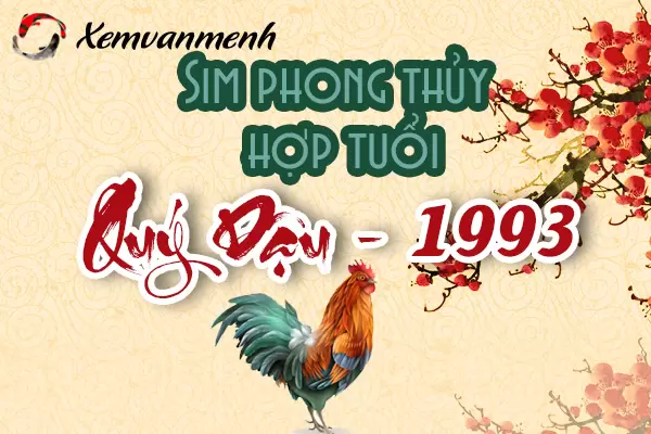 xem-sim-phong-thuy-hop-tuoi-quy-dau-1993