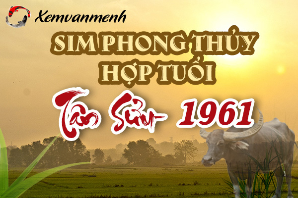 xem-sim-phong-thuy-hop-tuoi-tan-suu-1961
