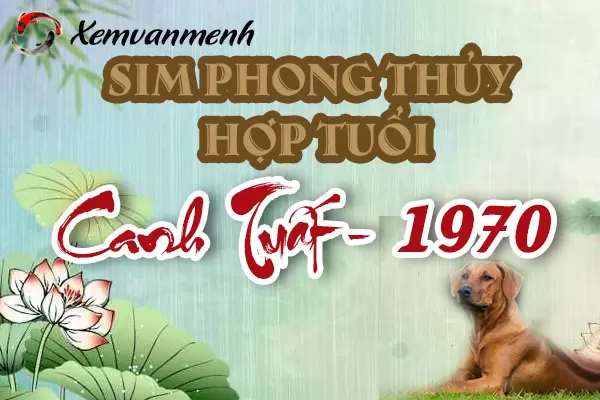 xem-sim-phong-thuy-hop-tuoi-canh-tuat-1970