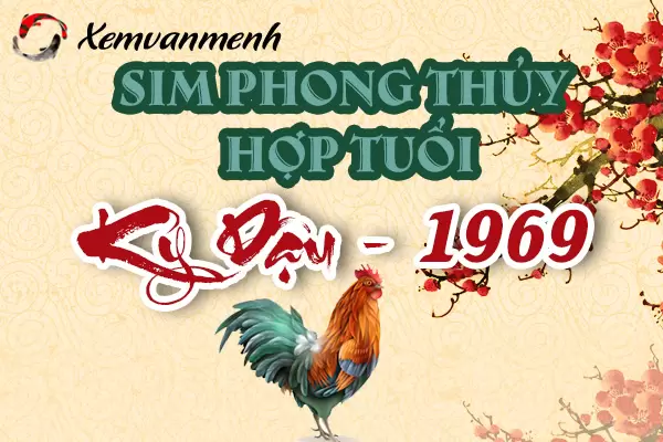 sim-phong-thuy-hop-tuoi-ky-dau-1969