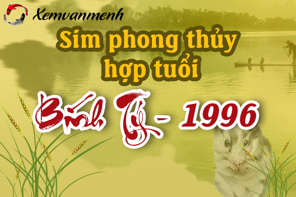 xem-sim-phong-thuy-hop-tuoi-binh-ty-1996