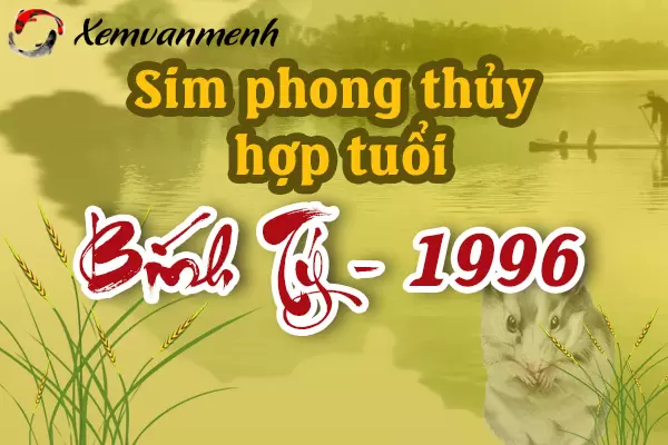 xem-sim-phong-thuy-hop-tuoi-binh-ty-1996