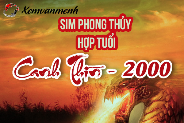 xem-sim-phong-thuy-hop-tuoi-canh-thin-2000