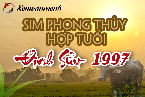 xem-sim-phong-thuy-hop-tuoi-dinh-suu-1997-xem-van-menh