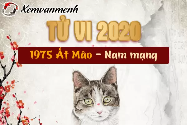 1975-xem-tu-vi-tuoi-at-mao-nam-2020-nam-mang