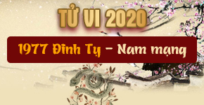 Xem bói tử vi tuổi Đinh Tỵ năm 2020 nam mạng sinh năm 1977 Xem bói tử vi tuổi Đinh Tỵ năm 2020 nam mạng sinh năm 1977
