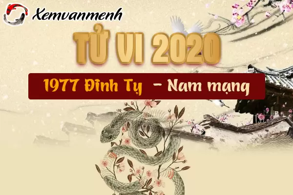 1977-xem-tu-vi-tuoi-dinh-ty-nam-2020-nam-mang