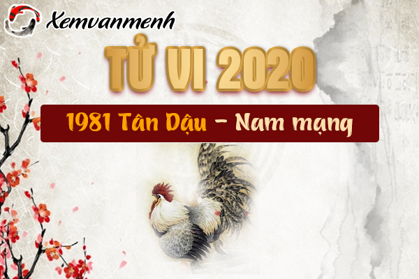 1981-xem-tu-vi-tuoi-tan-dau-nam-2020-nam-mang