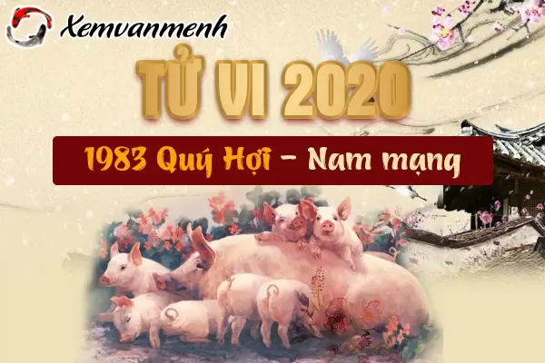 1983-xem-tu-vi-tuoi-quy-hoi-nam-2020-nam-mang