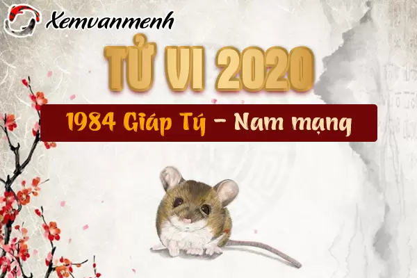 1984-xem-tu-vi-tuoi-giap-ty-nam-2020-nam-mang