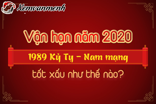 1989-van-han-tuoi-ky-ty-nam-2020-nam-mang