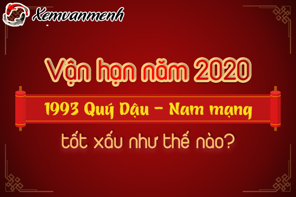 1993-van-han-tuoi-quy-dau-nam-2020-nam-mang