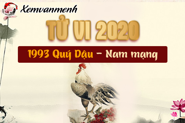 1993-xem-tu-vi-tuoi-quy-dau-nam-2020-nam-mang