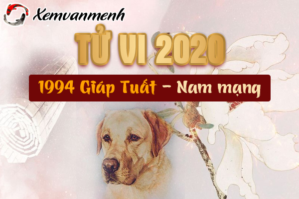 1994-xem-tu-vi-tuoi-giap-tuat-nam-2020-nam-mang