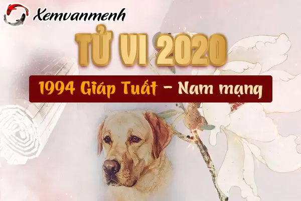 1994-xem-tu-vi-tuoi-giap-tuat-nam-2020-nam-mang