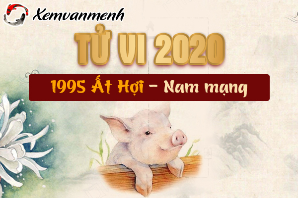 1995-xem-tu-vi-tuoi-at-hoi-nam-2020-nam-mang