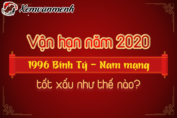 1996-van-han-tuoi-binh-ty-nam-2020-nam-mang