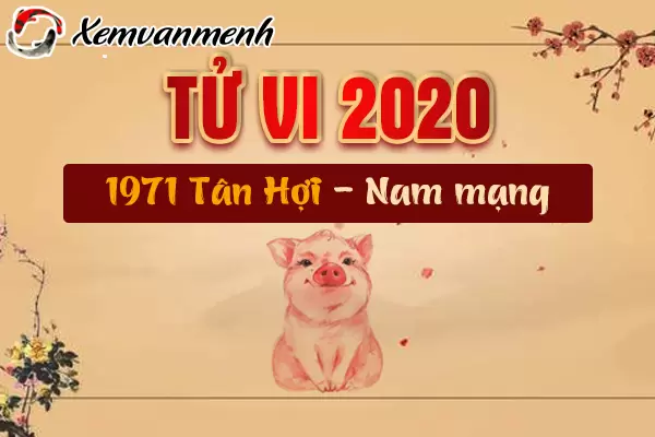 1971-xem-tu-vi-tuoi-tan-hoi-nam-2020-nam-mang