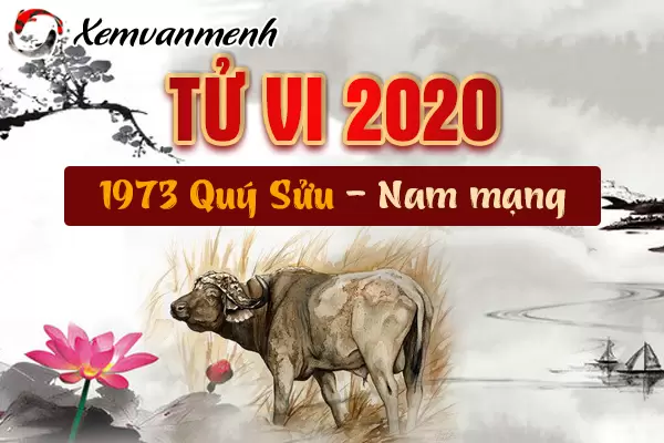 1973-xem-tu-vi-tuoi-quy-suu-nam-2020-nam-mang