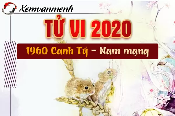 1960-xem-tu-vi-tuoi-canh-ty-nam-2020-nam-mang