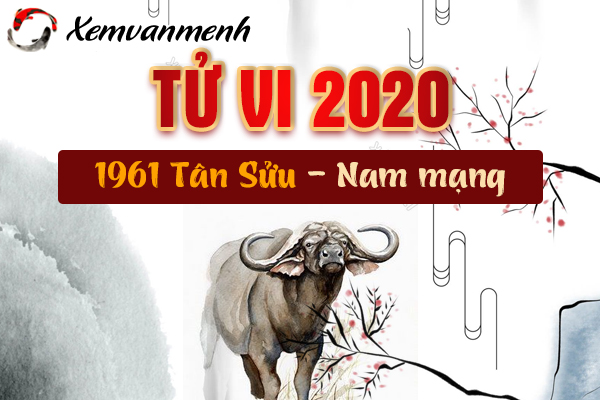1961-xem-tu-vi-tuoi-tan-suu-nam-2020-nam-mang