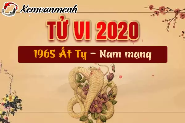 1965-xem-tu-vi-tuoi-at-ty-nam-2020-nam-mang