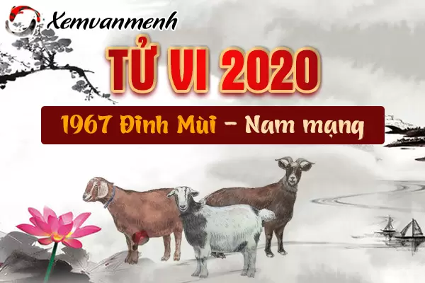 1967-xem-tu-vi-tuoi-dinh-mui-nam-2020-nam-mang.