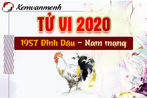 1957-xem-tu-vi-tuoi-dinh-dau-nam-2020-nam-mang