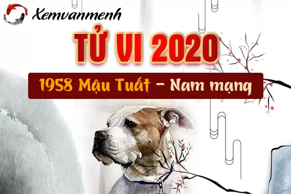 1958-xem-tu-vi-tuoi-mau-tuat-nam-2020-nam-mang