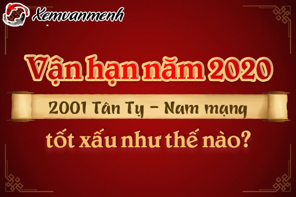 2001-van-han-tuoi-tan-ty-nam-2020-nam-mang