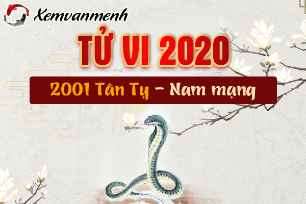 2001-xem-tu-vi-tuoi-tan-ty-nam-2020-nam-mang