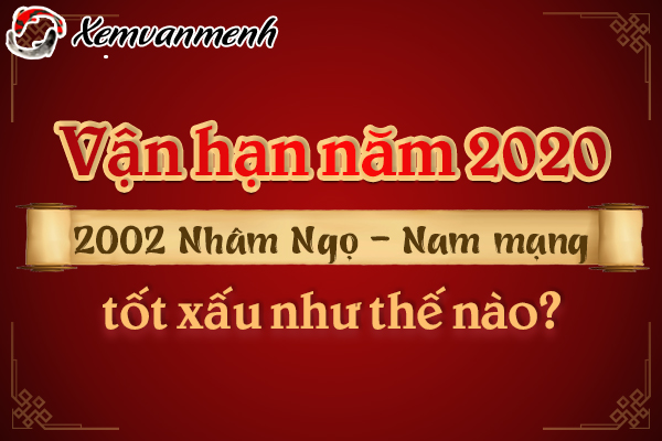 2002-van-han-tuoi-nham-ngo-nam-2020-nam-mang