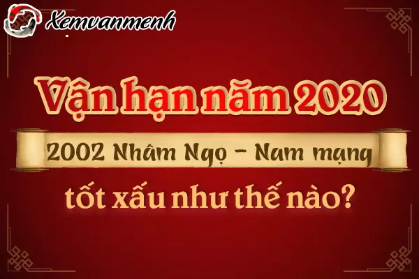 2002-van-han-tuoi-nham-ngo-nam-2020-nam-mang