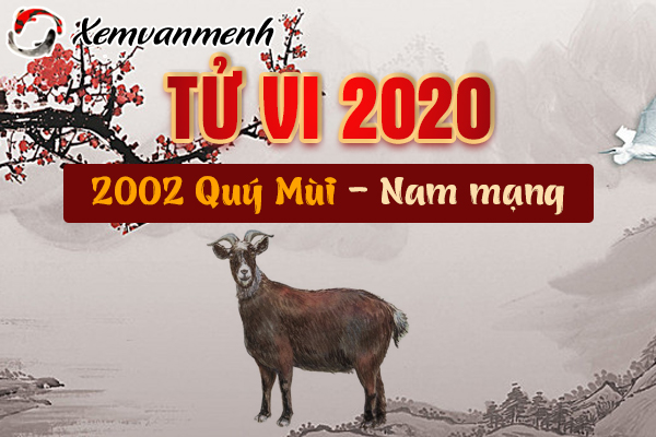 2003-xem-tu-vi-tuoi-quy-mui-nam-2020-nam-mang