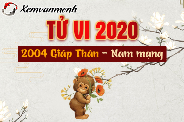 2004-xem-tu-vi-tuoi-giap-than-nam-2020-nam-mang