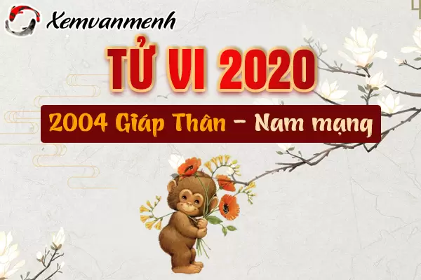 2004-xem-tu-vi-tuoi-giap-than-nam-2020-nam-mang