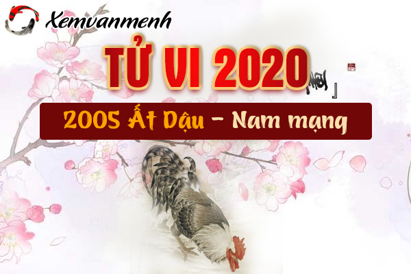 2005-xem-tu-vi-tuoi-at-dau-nam-2020-nam-mang