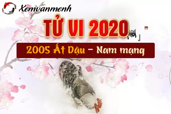 2005-xem-tu-vi-tuoi-at-dau-nam-2020-nam-mang