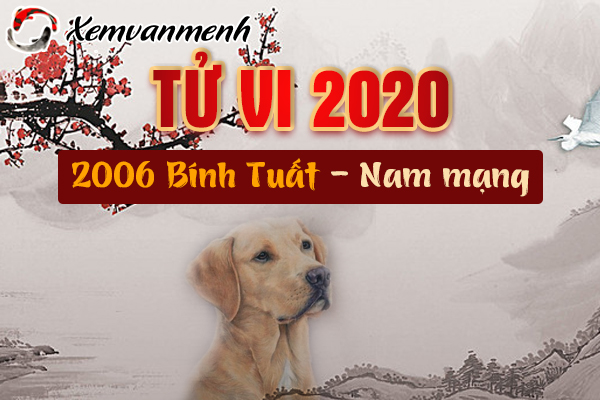 2006-xem-tu-vi-tuoi-binh-tuat-nam-2020-nam-mang